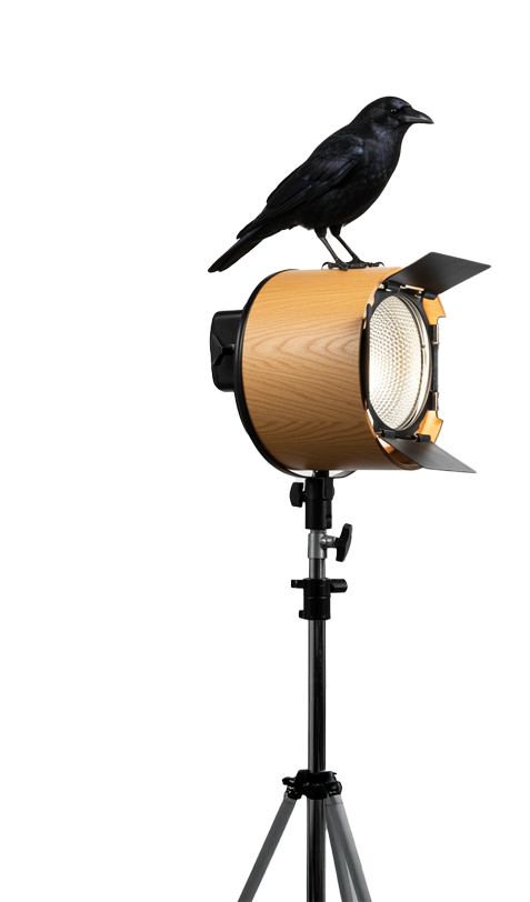 Why Designment Works